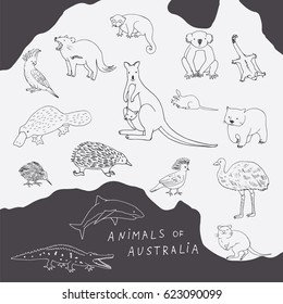 Australian animals line set. Cartoon doodle zoo vector illustrations. 