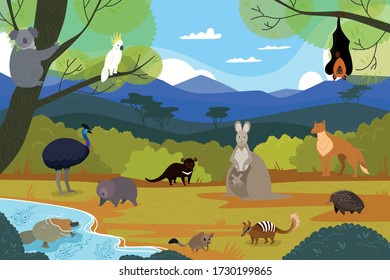 Australian animals in natural landscape, wildlife cartoon characters, vector illustration. Ostrich, echidna and platypus. Cute wild animals of Australia, kangaroo, koala, wombat and tasmanian devil