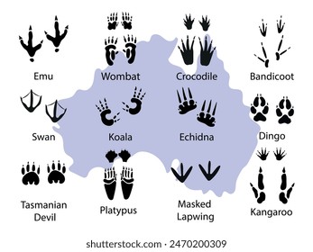 Australian animals paw prints. Different wild animals footprints black on white illustration. Dingo, crocodile,echidna,  bandicoot, swan, kangaroo ,koala, emu, platypus, wombat for your design. Vector