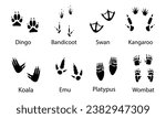 Australian animals paw prints, vector illustration different wild animals footprints black on white illustration. Dingo ,bandicoot ,swan ,kangaroo ,koala ,emu , platypus ,wombat for your design