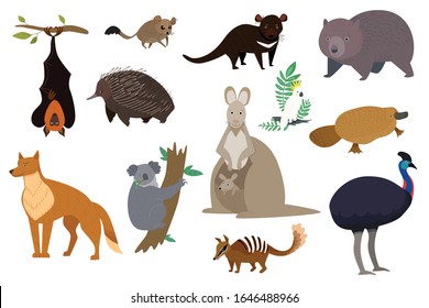 Australian animals, set of isolated cartoon characters kangaroo, koala and wombat, vector illustration. Wildlife animals of Australia, tasmanian devil, dingo dog, platypus and echidna. Isolated set