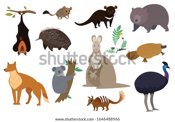 オーストラリアの動物 カンガルー コアラ ウマンバットのキャラクターセット ベクターイラスト オーストラリアの野生動物 タスマニアデビル ディンゴ犬 プラチプス エヒドナ 分離型セット のベクター画像素材 ロイヤリティフリー