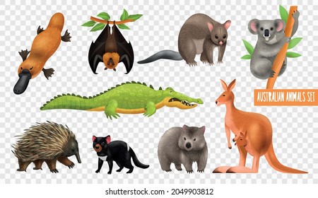 Australian animals set with isolated fauna icons of exotic wild animals on transparent background with text vector illustration