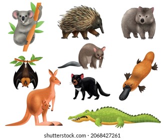 Australian animals set of isolated icons with images of wild rodents kangaroo crocodile and hanging rat vector illustration