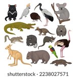 Australian animals set. Kangaroo, wild dog dingo, marsupial bear, koala, echidna, platypus, wombat cartoon vector illustration