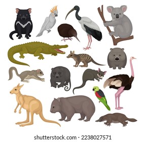 Australian animals set. Kangaroo, wild dog dingo, marsupial bear, koala, echidna, platypus, wombat cartoon vector illustration