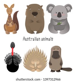 Australian animals set with kangaroo, wombat and koala bear along with black swan and echidna, platypus. Australian native animals hand drawn vector illustration collection