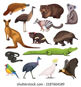 Australische Tiere Set Koala kangaroo Krokodile Eidechse fliegender Fuchs-Wildhund dingo platypus echidna wombat numbat cassowary Cartoon Figuren einzeln Vektorgrafik