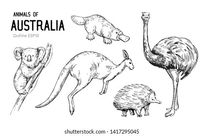 Australian animals. Set of outlines. Hand drawn illustration converted to vector