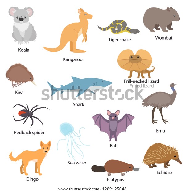 Australian Animals Set Titles Wildlife Australia Stock Vector (Royalty 1289125048