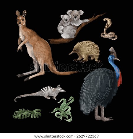 Australian animals and trees isolated. Vector