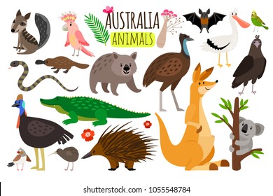 Australian animals. Vector animal icons of Australia, kangaroo and koala, wombat and ostrich emu, platypus and echidna in cartoon style isolated on white background