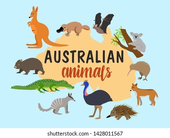 Australian animals. Vector animal icons of Australia, kangaroo and koala, wombat and ostrich emu, platypus and echidna in cartoon style. 