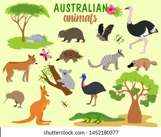 Australian animals. Vector animal icons of Australia, kangaroo and koala, wombat and  platypus and echidna in cartoon style