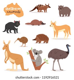 Australian animals vector animalistic character in wildlife Australia kangaroo koala and platypus illustration set of cartoon wild wombat and emu isolated on white background