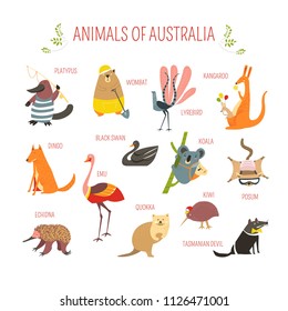 Australian animals vector cartoon design