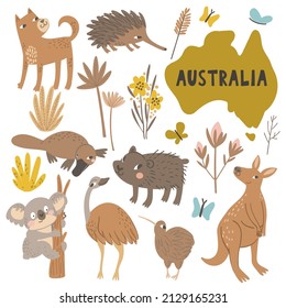 Australian animals vector illustration set. Kangaroo, wombat, koala, emu, kiwi, platypus, dingo dog, echidna, Australian plants and mainland.