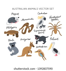 Australian Animals vector illustrations clipart bundle. Kids design posters set. 
Wild mammal drawing in scandinavian style. Handwritten lettering. Exotic wildlife. 