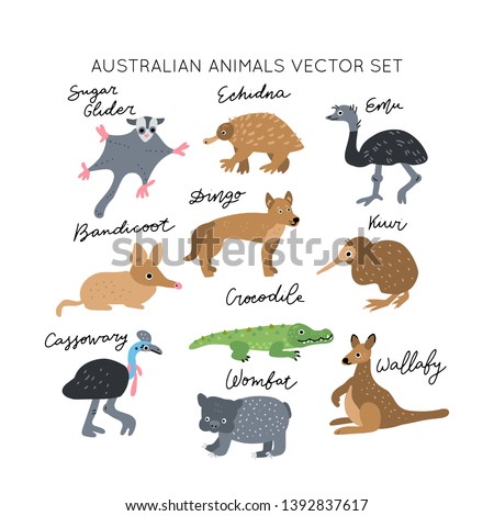 Australian Animals vector illustrations clipart bundle. Kids design posters set. Wild mammal drawing in scandinavian style. Handwritten lettering. Exotic wildlife. 