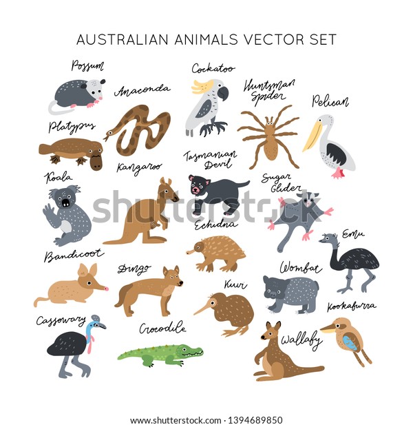 Home Decor Digital Downloads Australian Mammals Collection of 182 Public Domain Images Home Furnishing Australian Animal Images
