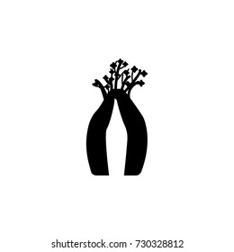 Australian baobab tree icon on white background