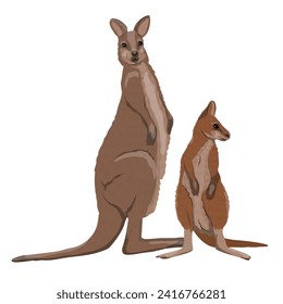 Australian big red kangaroo female with cub. Realistic vector animal