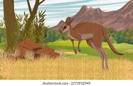 Australian big red kangaroo jumping on dry grass at the foot of a mountain range. Endemic species of Australia. Realistic vector landscape