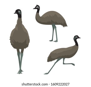 Australian Bird Animal Emu Cartoon Vector Illustration