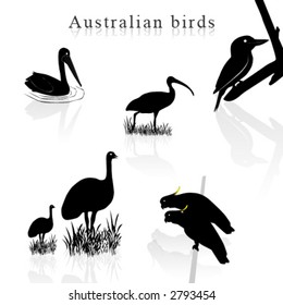 australian birds