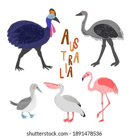 Australian birds: Pelican, cassowary, emu, blue-footed booby, flamingo. Australian character for kids. Baby illustration. Hand drawn colorful vector background. 