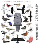 Australian Birds Set Cartoon Vector Character 5
