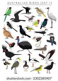 Australian Birds Set Cartoon Vector Character 1
