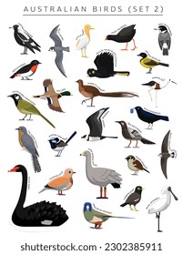 Australian Birds Set Cartoon Vector Character 2
