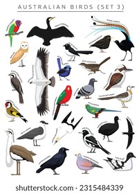 Australian Birds Set Cartoon Vector Character 3