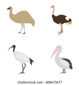 Australian birds vector icons