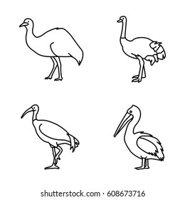 Australian birds vector icons