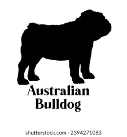 Australian Bulldog Dog silhouette dog breeds logo dog monogram logo dog face vector