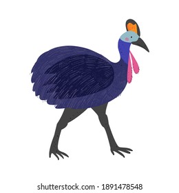 Australian Cassowary. Australian character for kids. Baby illustration. Bird of Australia. Hand drawn colorful vector background. 