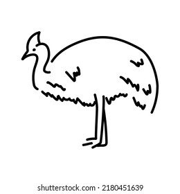 Australian cassowary color line illustration. Animals of Australia.