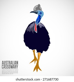 Australian Cassowary Vector illustration