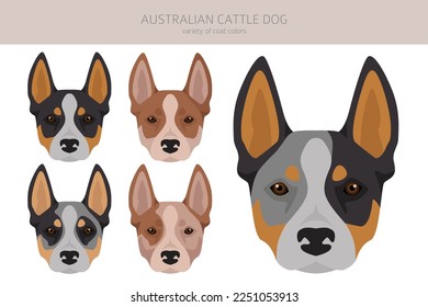 Australian cattle dog all colours clipart. Different coat colors and poses set.  Vector illustration svg