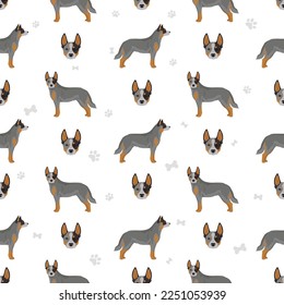 Australian cattle dog all colours seamless pattern.  Vector illustration svg