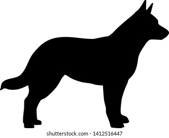 Australian Cattle Dog in black with silhouette