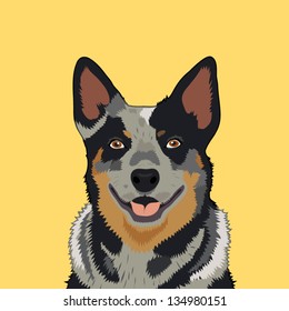 Australian cattle dog, The buddy dog