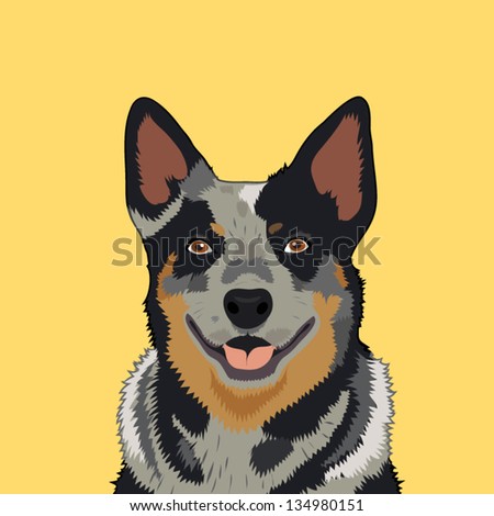 Australian cattle dog, The buddy dog
