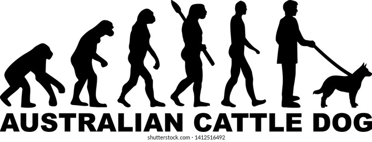 Australian Cattle Dog evolution with silhouette and name