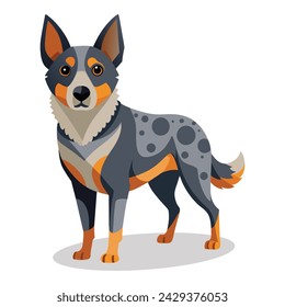 Australian cattle Dog flat Vector illustration on white background