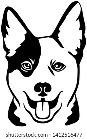 Australian Cattle Dog head in black and white