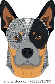 Australian Cattle dog isolated on white background vector illustration