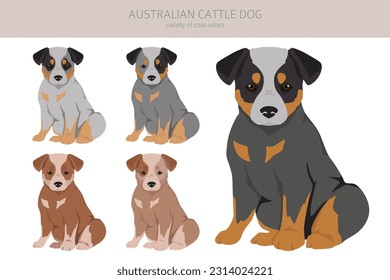 Australian cattle dog puppies all colours clipart. Different coat colors and poses set.  Vector illustration svg